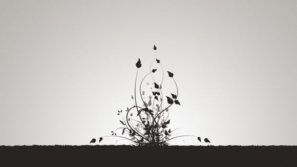 骑马与砍杀怎么自立王国