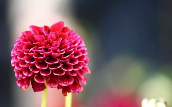 阴阳师电脑版怎么登陆