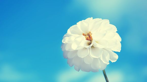 鬼泣五怎么退出游戏